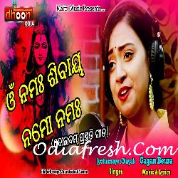 Om Namah Shivaya Namo Namah